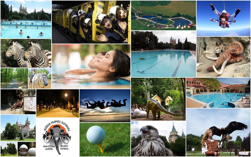 Penzion บอยนิตแซ ภายนอก รูปภาพ